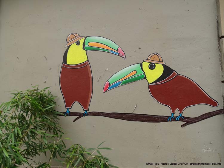 Toucans colorés