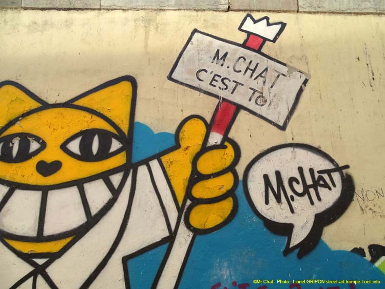 Moi Mr Chat-2
