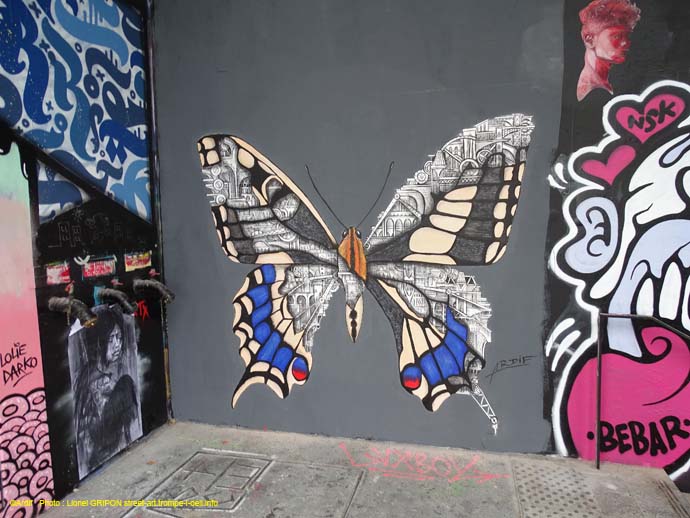 Lavo Matik – Papillon