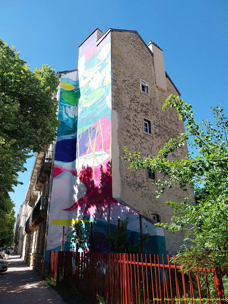 Les nénuphars