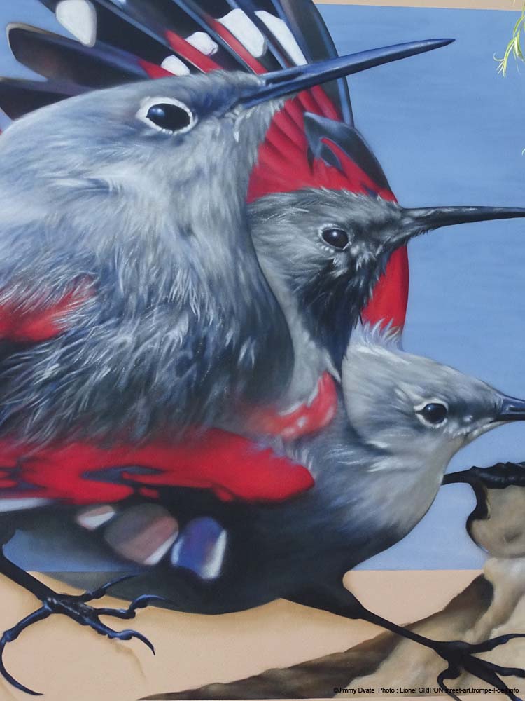 Oiseau papillon