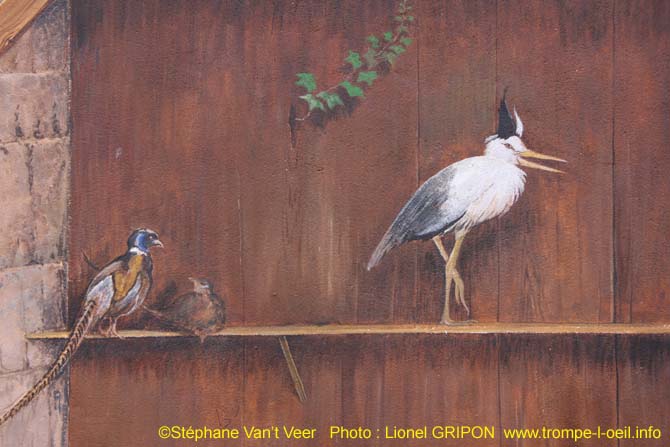 Volière de basse cour