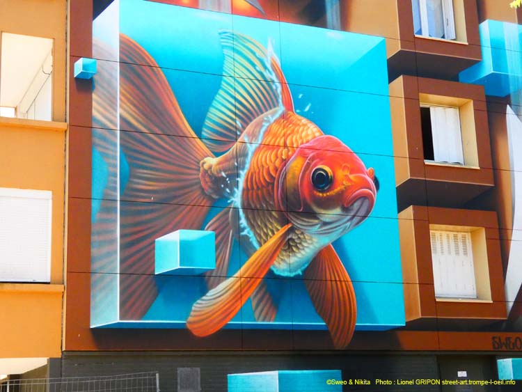 Poisson combattant-04