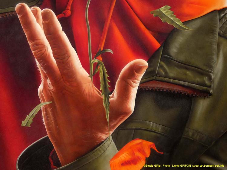 Coquelicot et renaissance