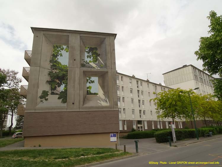 Vigne en ville