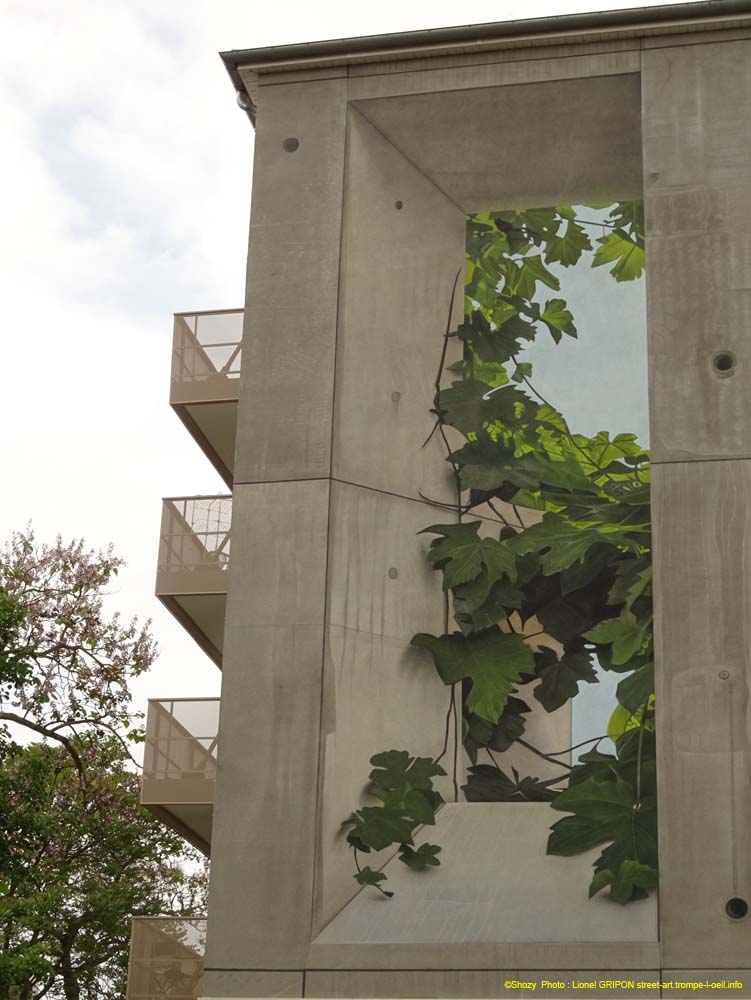 Vigne en ville
