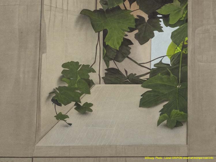 Vigne en ville