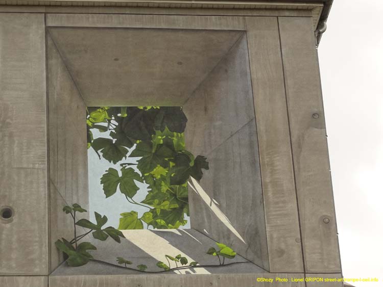 Vigne en ville
