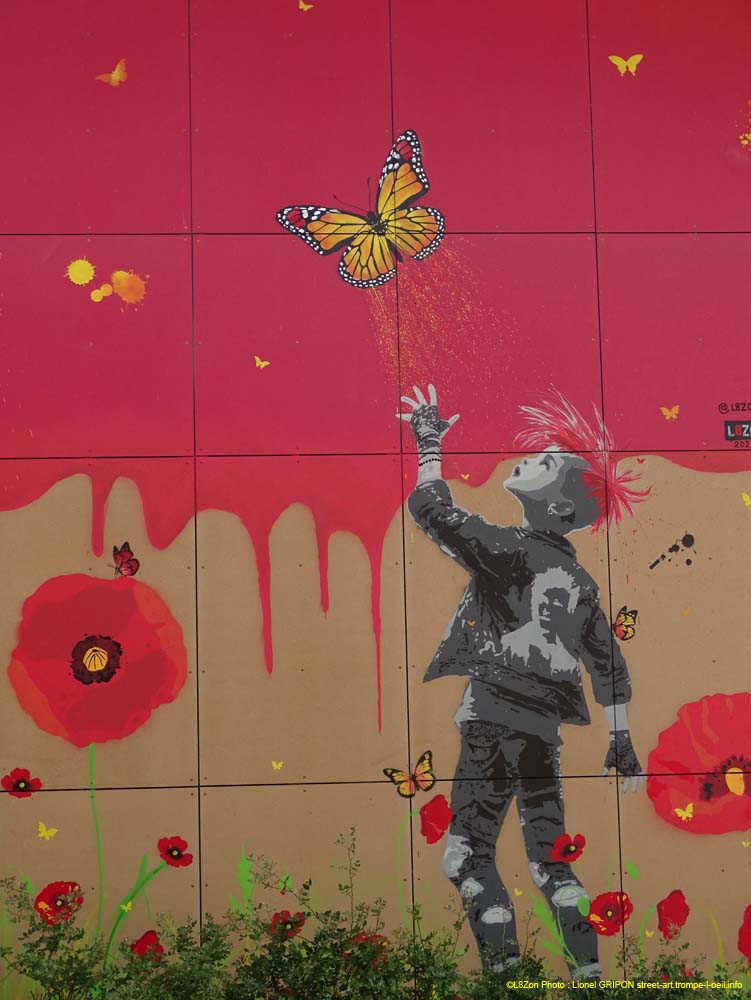 Coquelicots et papillons