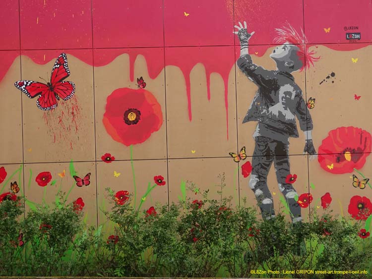 Coquelicots et papillons