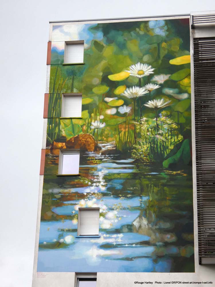 Rivière et pâquettes