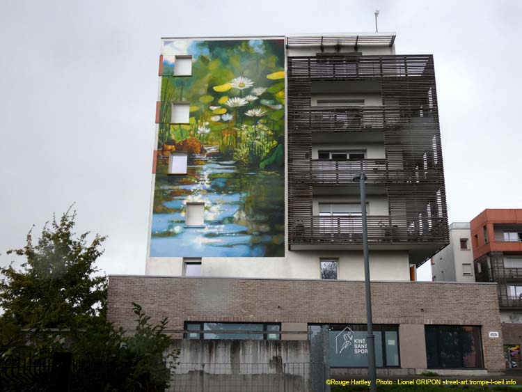 Rivière et pâquettes