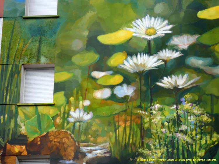 Rivière et pâquettes