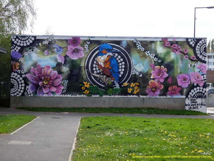 Fleurs et Martin-pêcheur