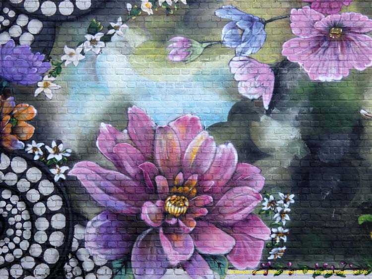 Fleurs et Martin-pêcheur