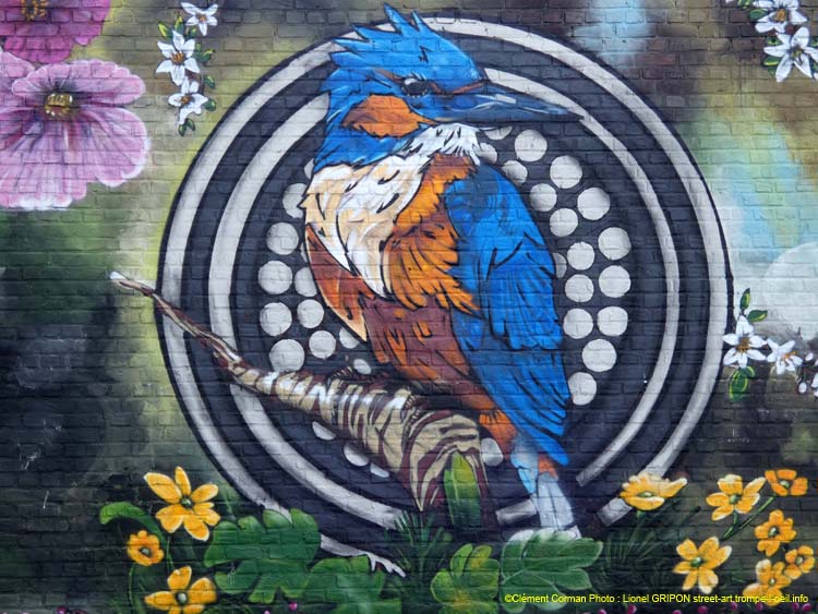 Fleurs et Martin-pêcheur