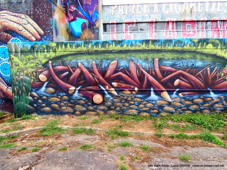 Castor graffeur