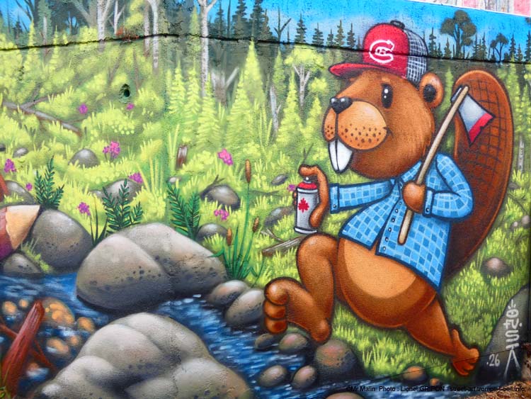 Castor graffeur