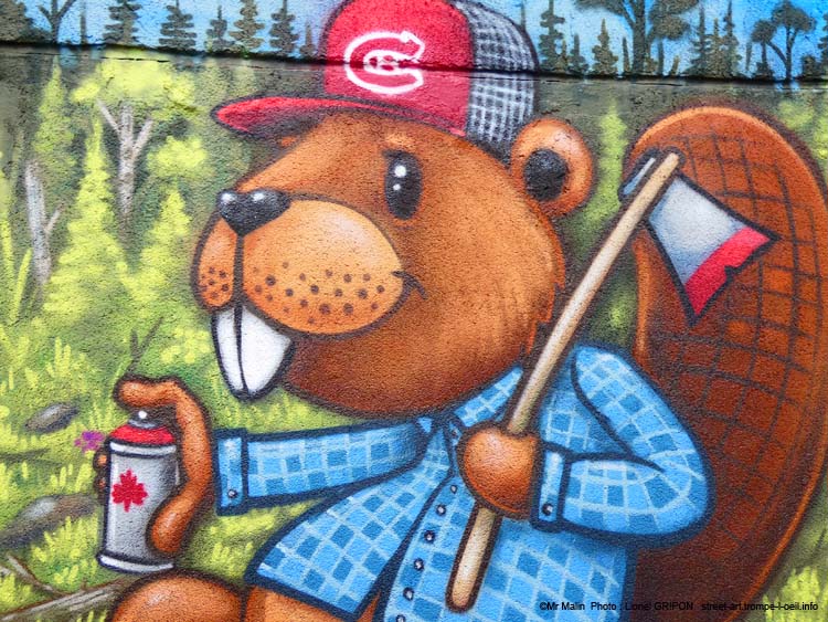 Castor graffeur