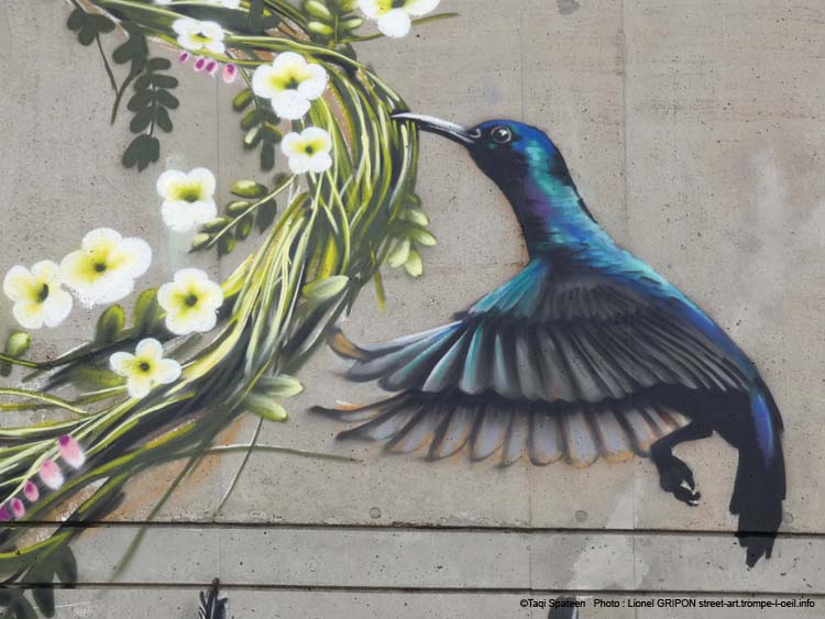 Caps Attack2025 – Taqi Spateen