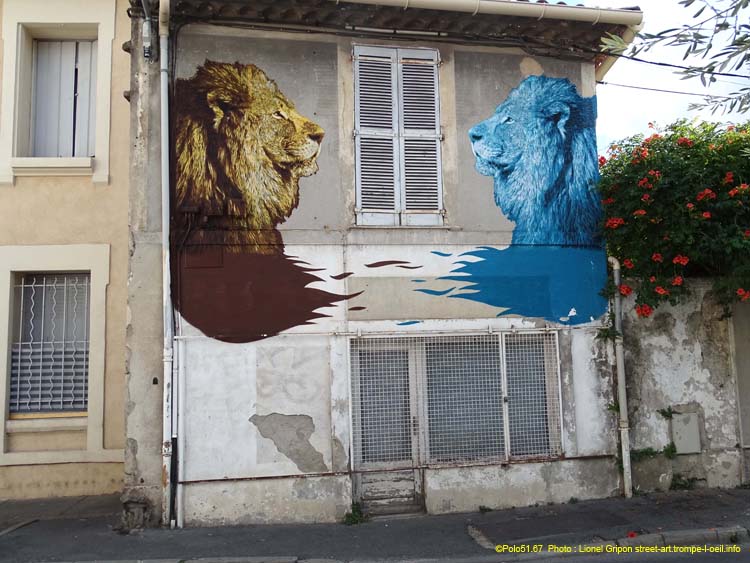 Les lions
