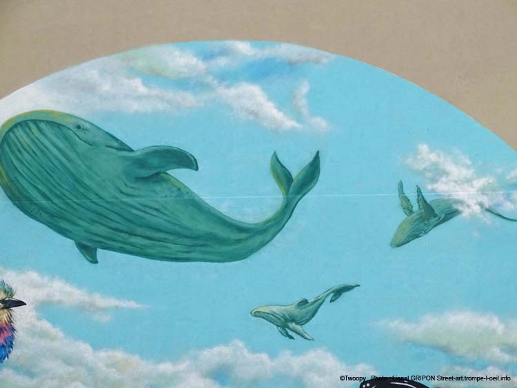 Baleines volantes