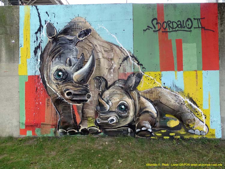 Famille rhinocéros