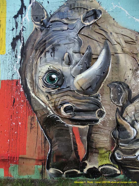 Famille rhinocéros