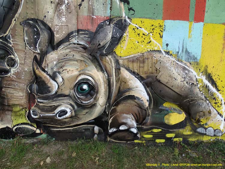 Famille rhinocéros