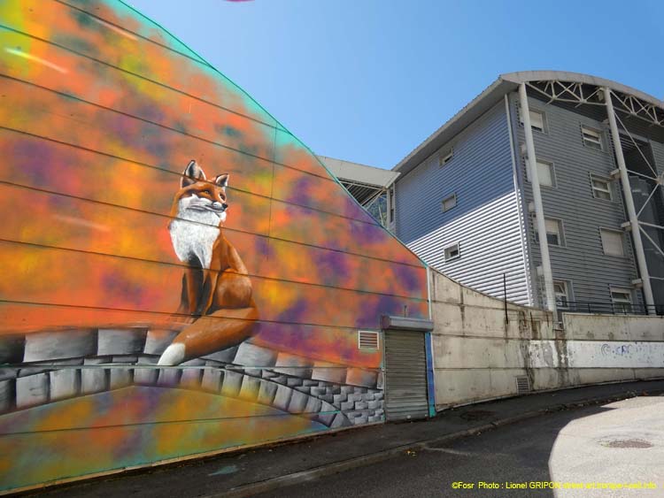 Exploratrice de la vallée