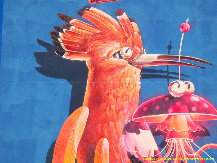 Cachalot et oiseaux