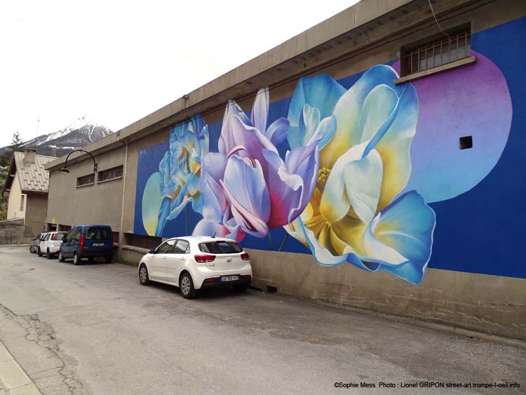 Fleurs de montagne