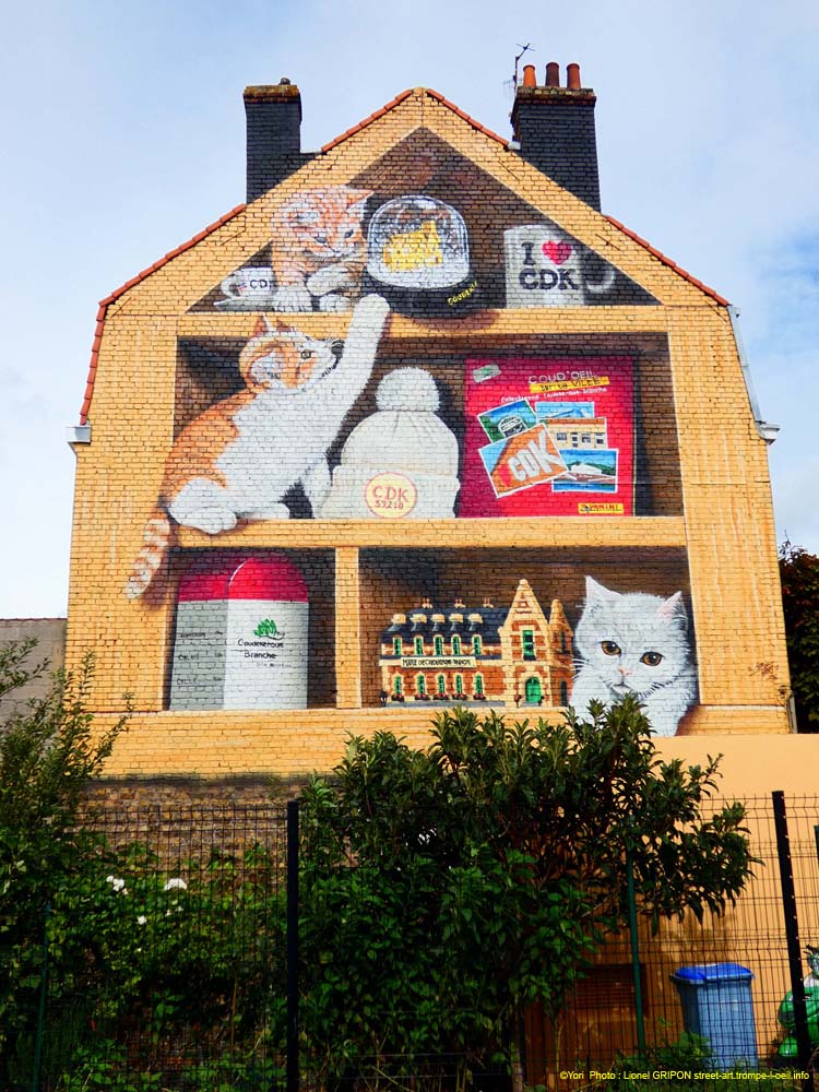 Bibliothèque à chats