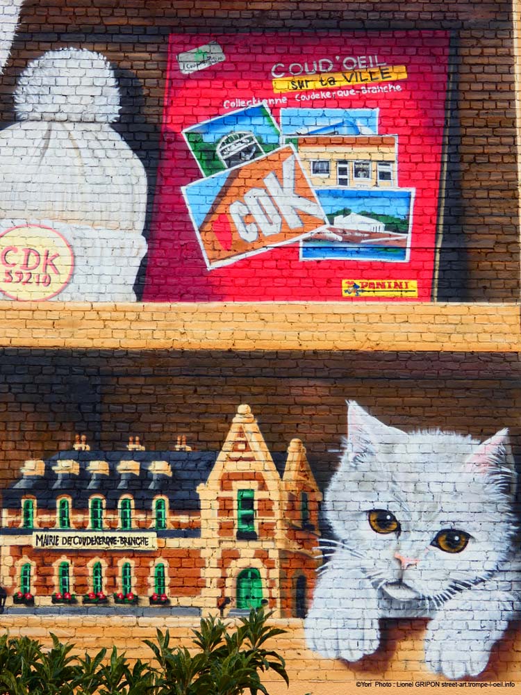 Bibliothèque à chats