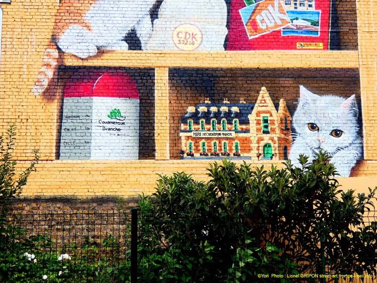 Bibliothèque à chats