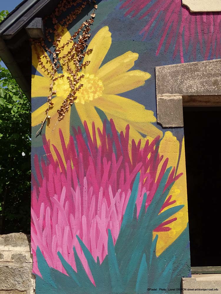 Arnica