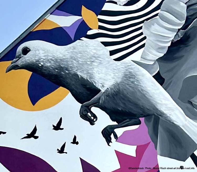 Oiseau liberté