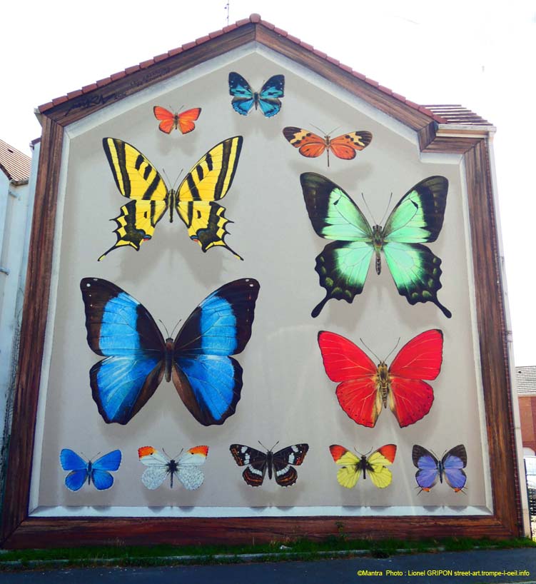 Boite à papillons