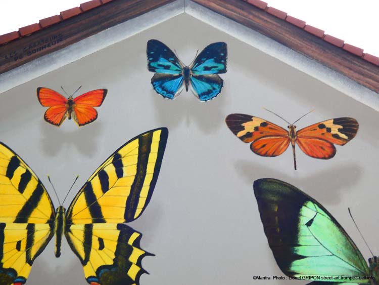 Boite à papillons