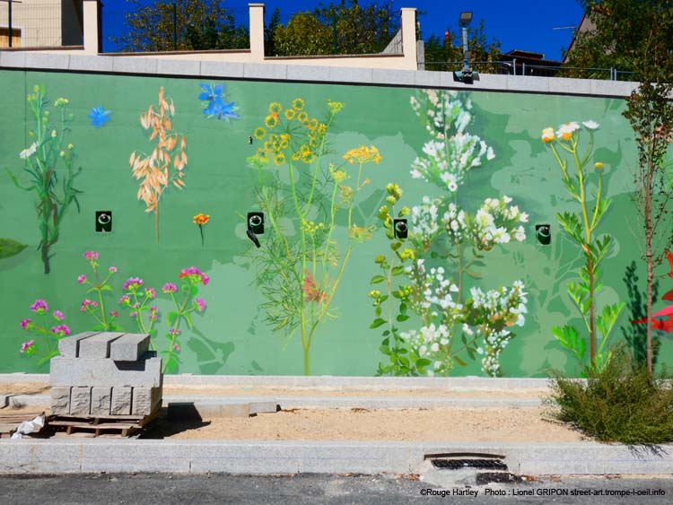 Herbier coloré