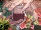 Val de Livenne-02