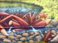 Castor graffeur