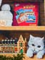 Bibliothèque à chats