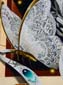 Papillon en dentelle