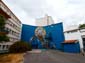 Zèbre graffeur