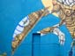 Zèbre graffeur