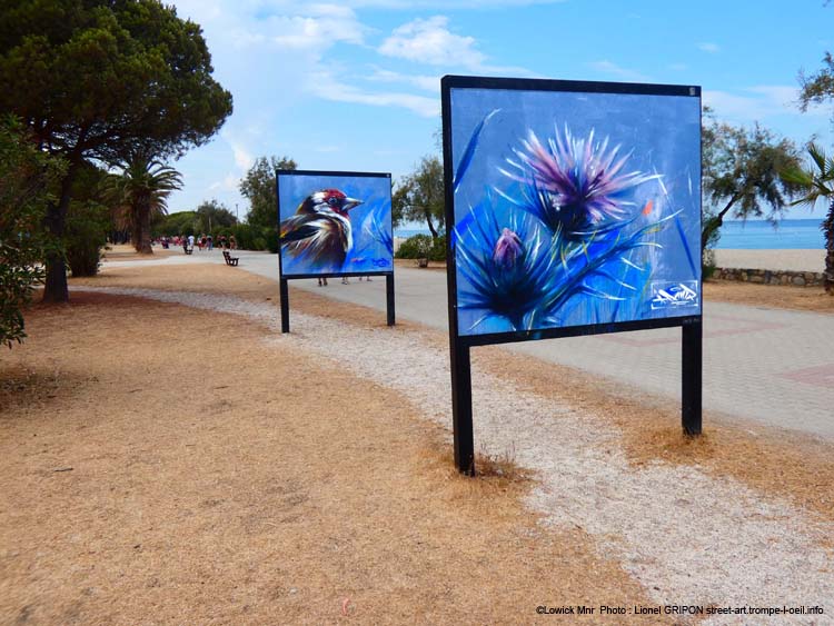 Plantes et oiseaux