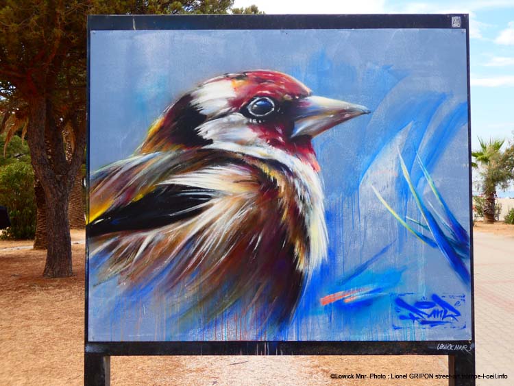 Plantes et oiseaux