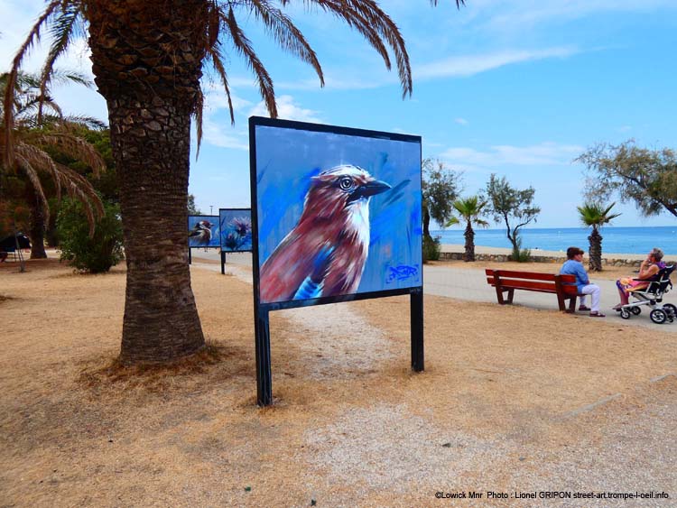 Plantes et oiseaux