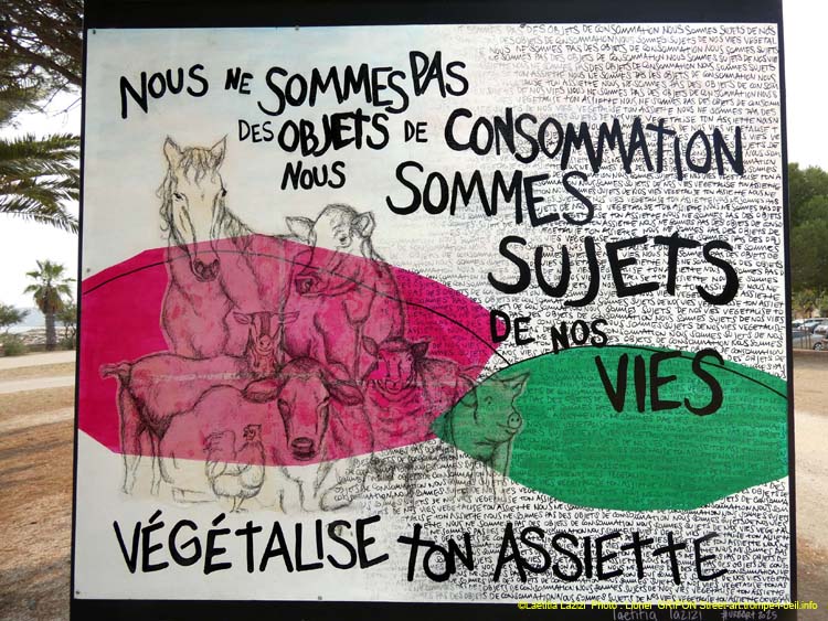 Végétalise ton assiette